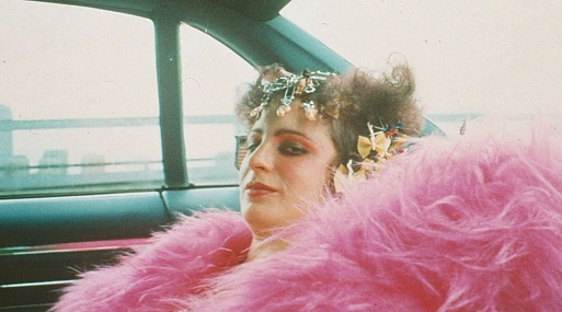 Вышел трейлер победителя Венецианского фестиваля «Вся красота и кровопролитие»