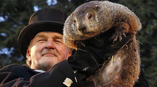 Ни дня без списков: знаменитости назвали пятёрку самых идеальных фильмов