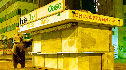 Берлинский кинофестиваль: что ждать от основной программы? Все фильмы