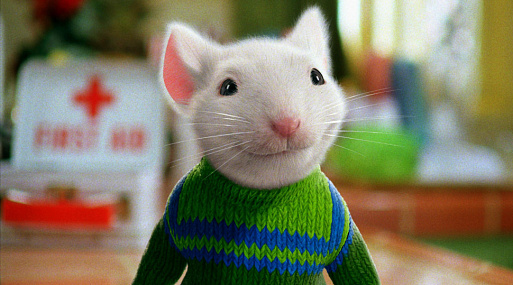 Новая адаптация «Стюарта Литтла» запущена в разработку