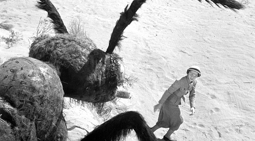 Композитор Майкл Джаккино переосмыслит фильм о гигантских муравьях «Они!»