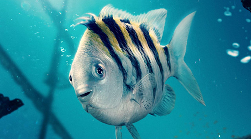 Режиссёр «Русалочки» не хотел, чтобы техническая сторона фильма обсуждалась больше всего