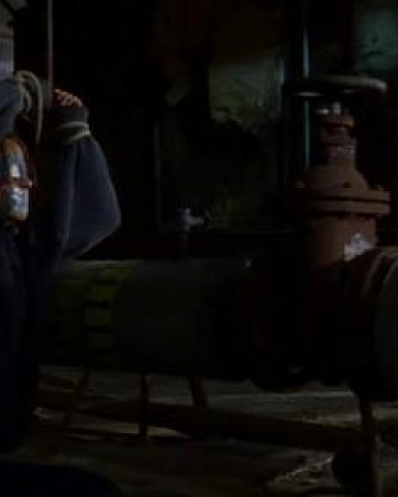 Янина Флигер