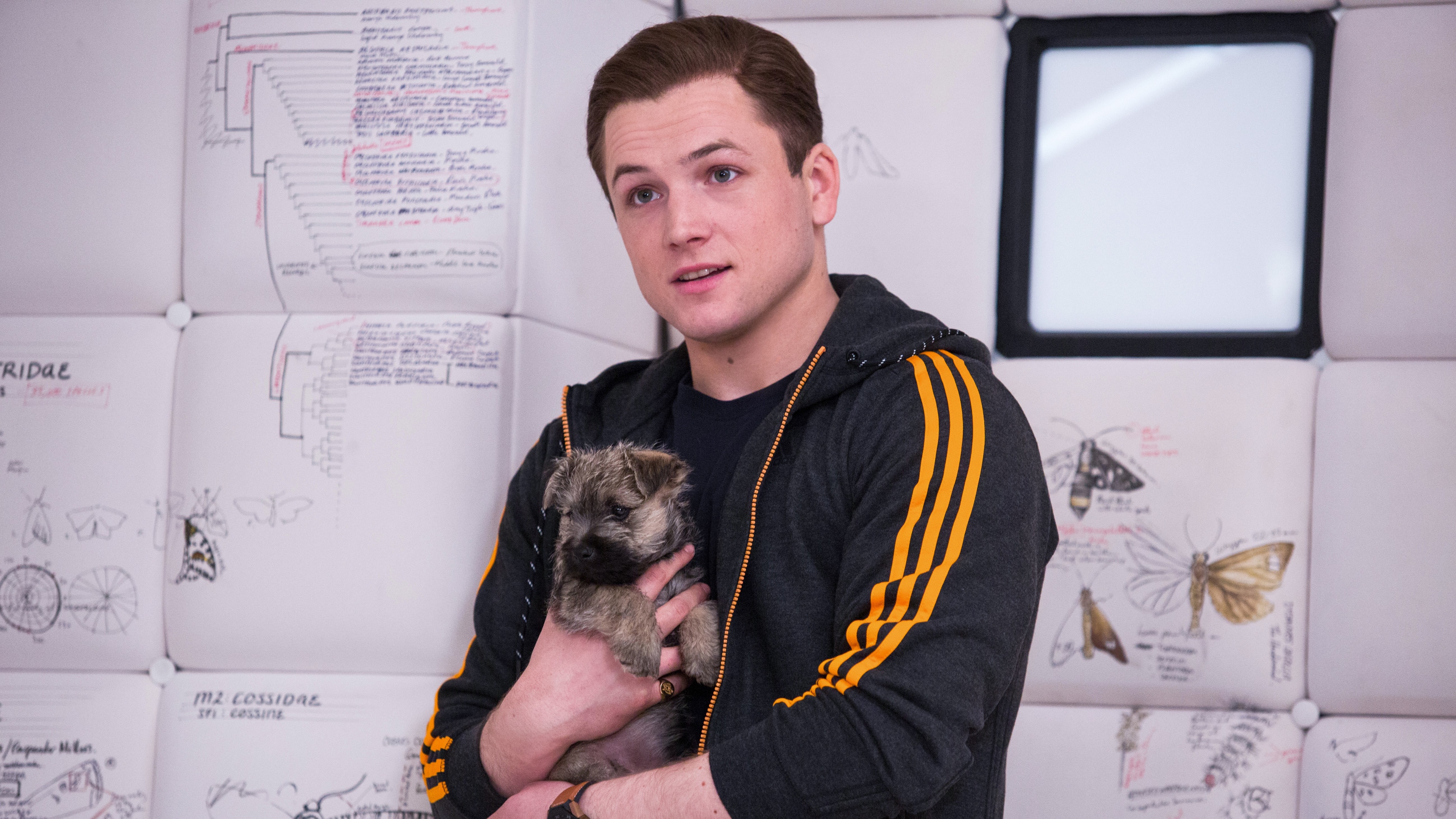 kingsman золотое кольцо